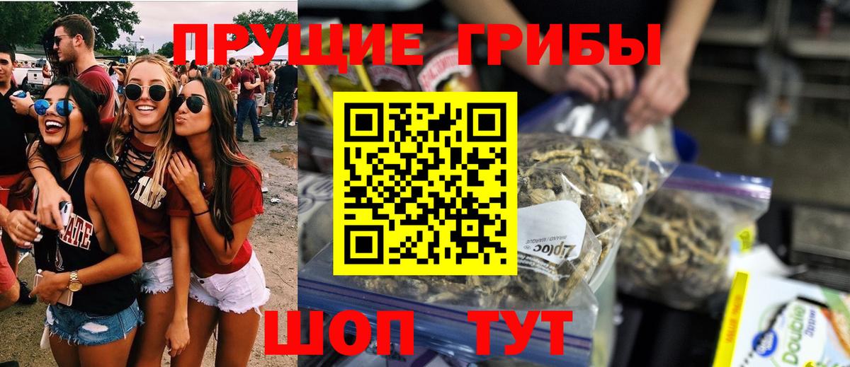 Галлюциногенные грибы прущие грибы Белореченск